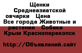 Щенки Среднеазиатской овчарки › Цена ­ 30 000 - Все города Животные и растения » Собаки   . Крым,Красноперекопск